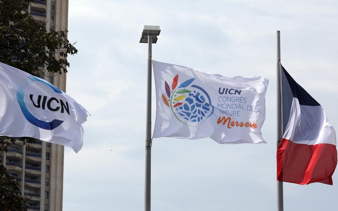 COMPROMISOS Y SOLUCIONES ANTE LA EMERGENCIA CLIMÁTICA Y ECOSISTÉMICA EN EL CONGRESO MUNDIAL DE LA NATURALEZA DE LA UICN
