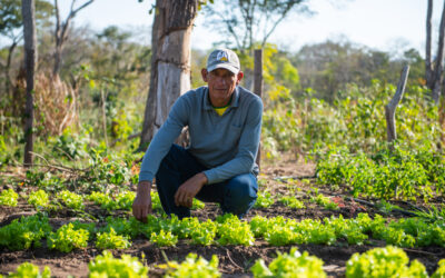 Que se corra la voz: Luego de más de 15 años, Santo Corazón ya tiene un productor de verduras, su nombre es José Luis Flores Parada