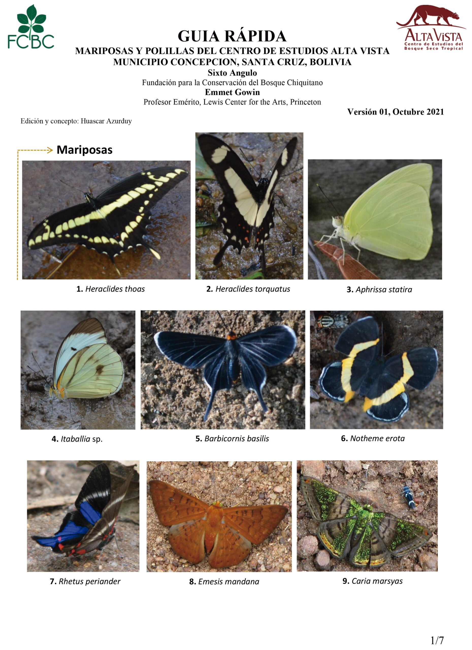 GUIA-RAPIDA--mariposas-y-polillas_Centro-de-Estudios-Alta-Vista_V1