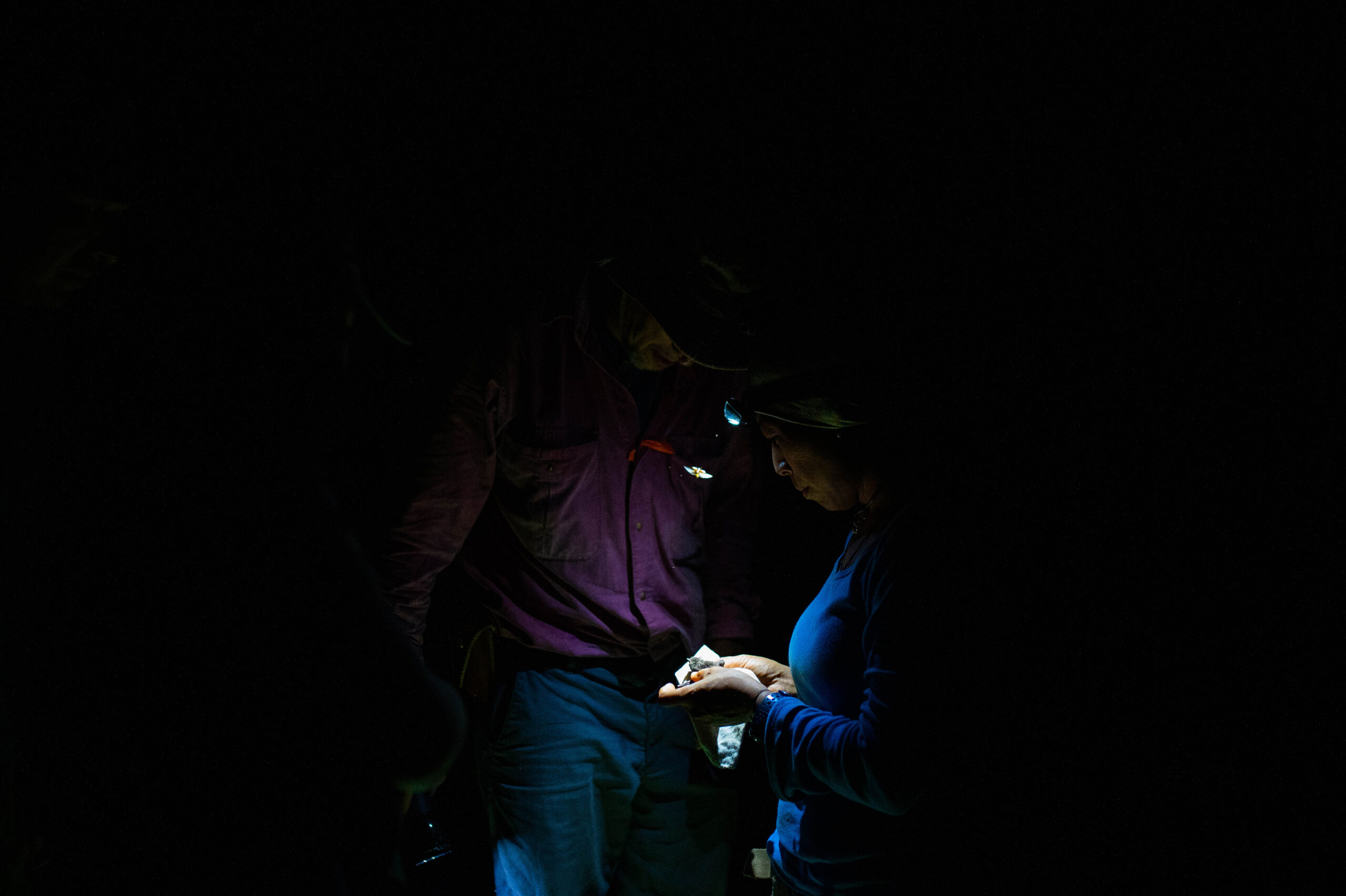 CBC_2072-2 copia