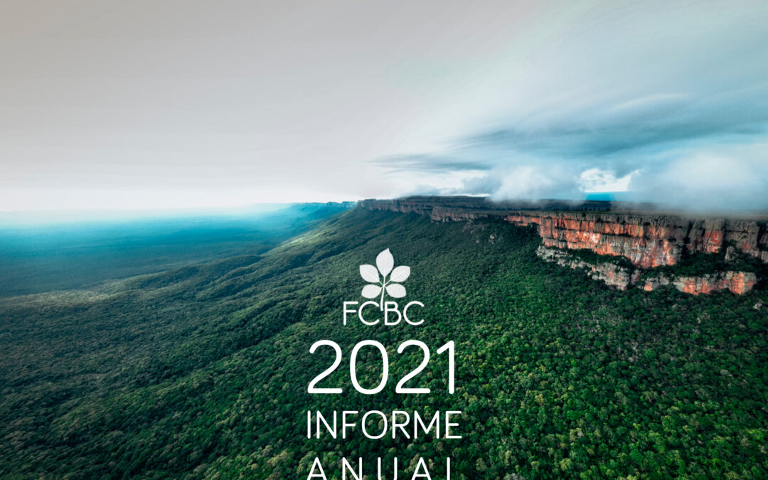 Informe Anual 2021