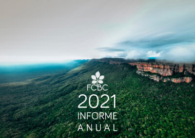 Informe Anual 2021