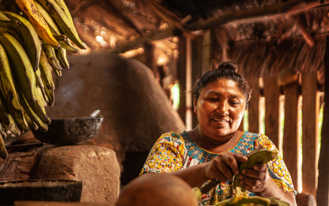 Recetarios y guía nutricional para comunidades chiquitanas
