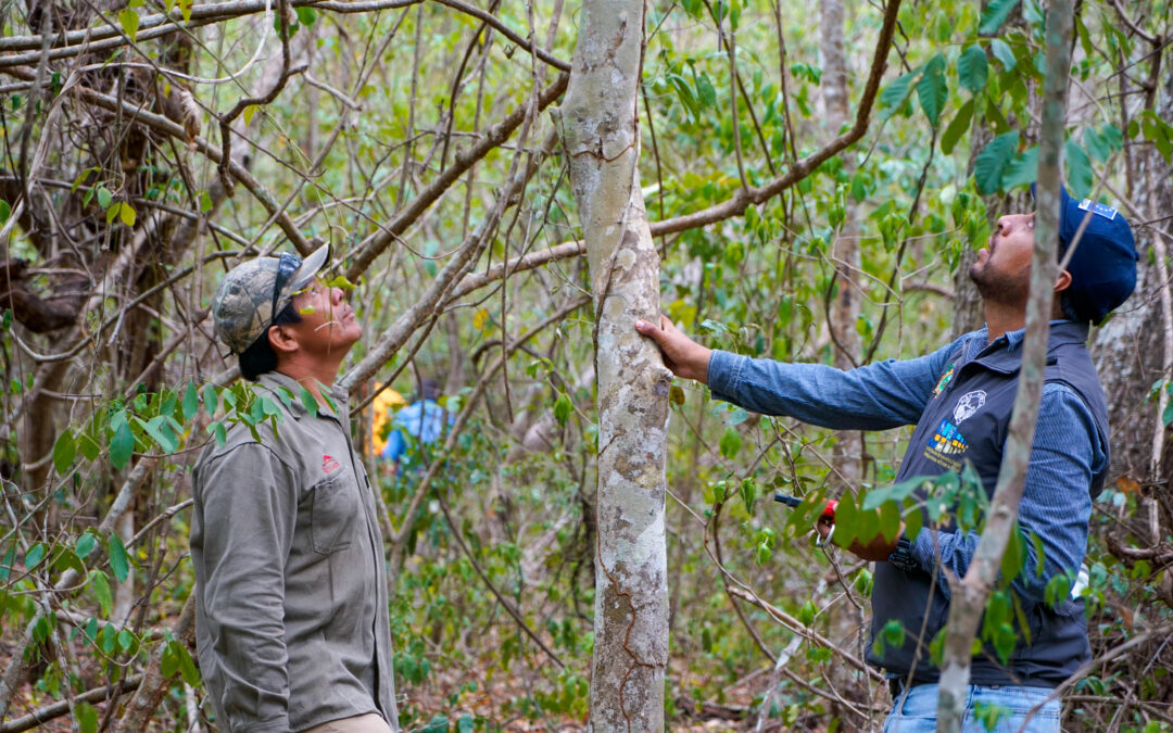 Actores locales e institucionales son capacitados para determinar el estado de ecosistemas forestales afectados por incendios