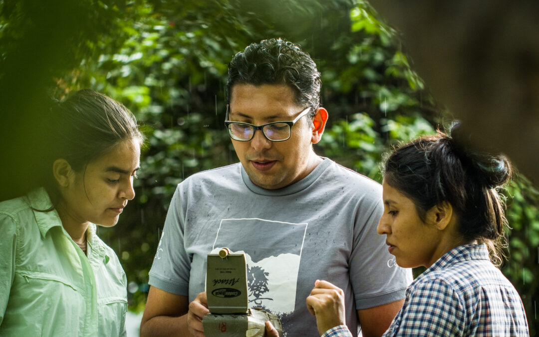 Alta Vista, un lugar único donde se estudia al Bosque Chiquitano y sus interacciones