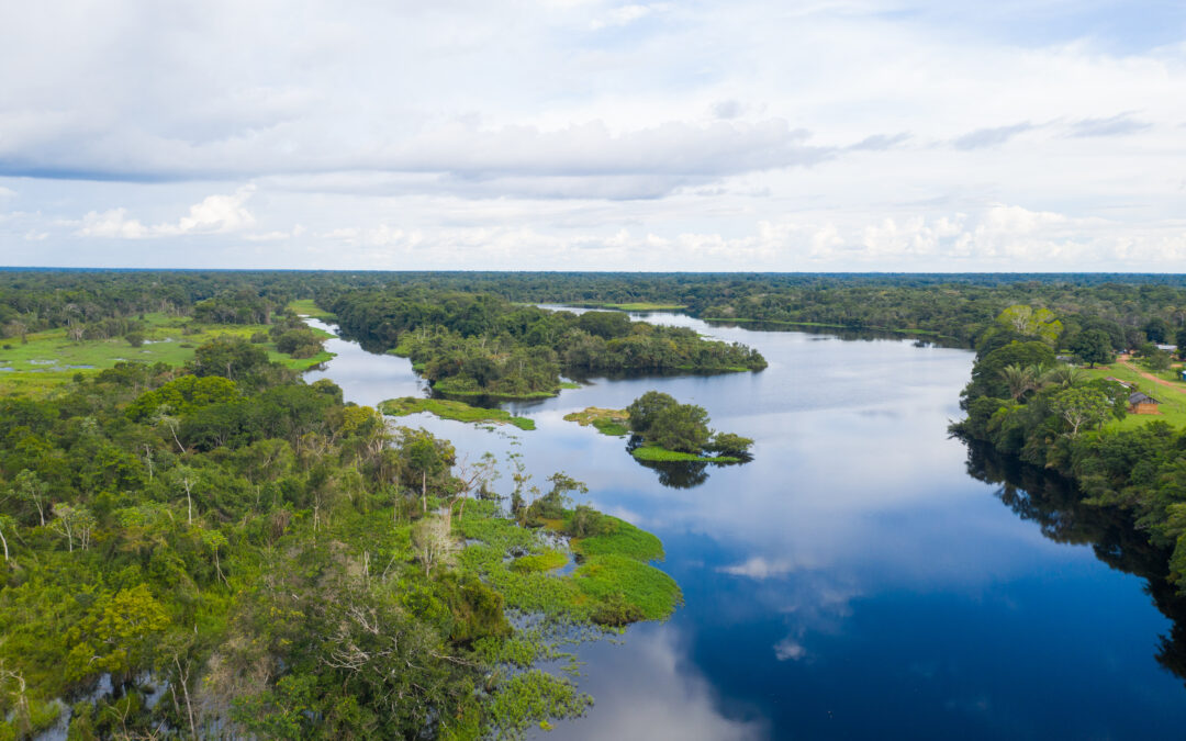 FCBC, ACEAA, AA y ACCA consolidan una estrategia de alianza para la Conservación de los Bosques de Latinoamérica