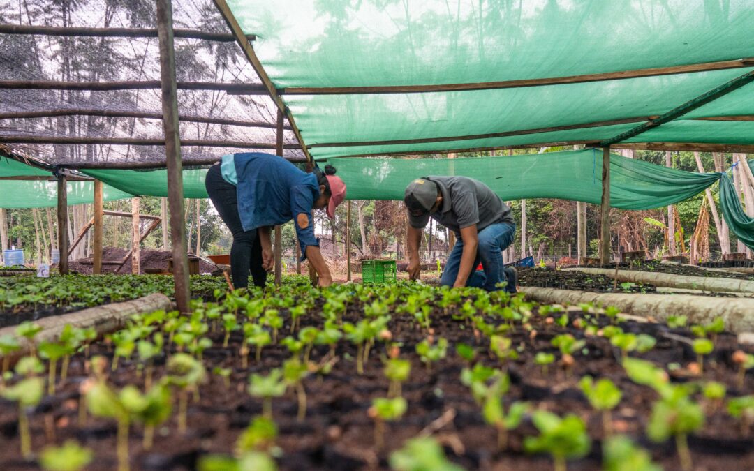 BAJO PARAGUÁ: El área protegida donde su gente busca la sustentabilidad y la conservación