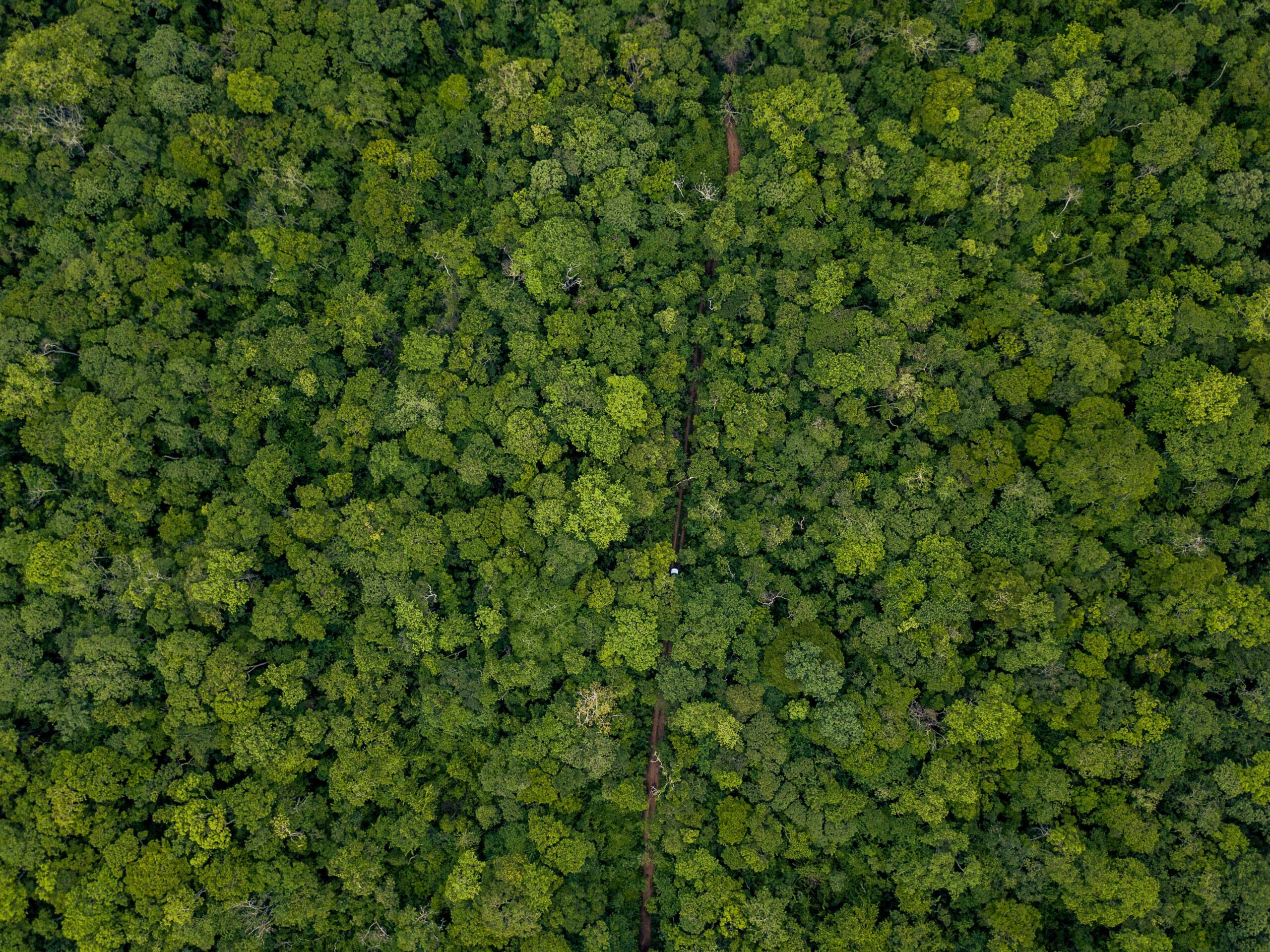 DJI_0033