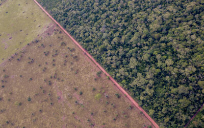 Efecto de la deforestación en la temperatura de la superficie terrestre de la región chiquitana