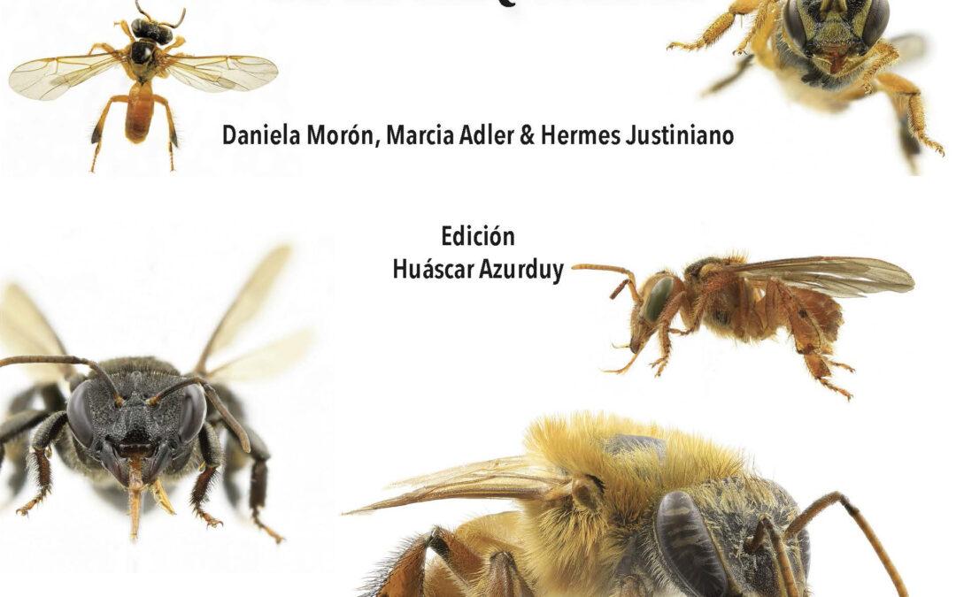 ABEJAS NATIVAS DE UN PAISAJE PRODUCTIVO REPRESENTATIVO DE LA CHIQUITANIA