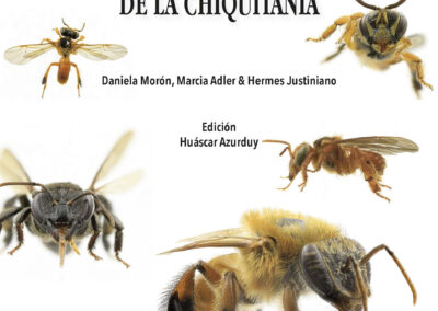 ABEJAS NATIVAS DE UN PAISAJE PRODUCTIVO REPRESENTATIVO DE LA CHIQUITANIA