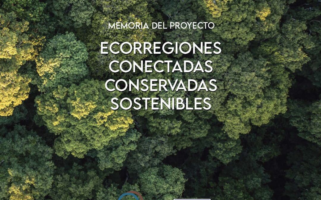 Memoria Proyecto ECCOS