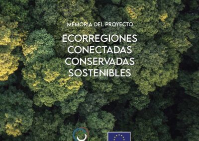 Memoria Proyecto ECCOS