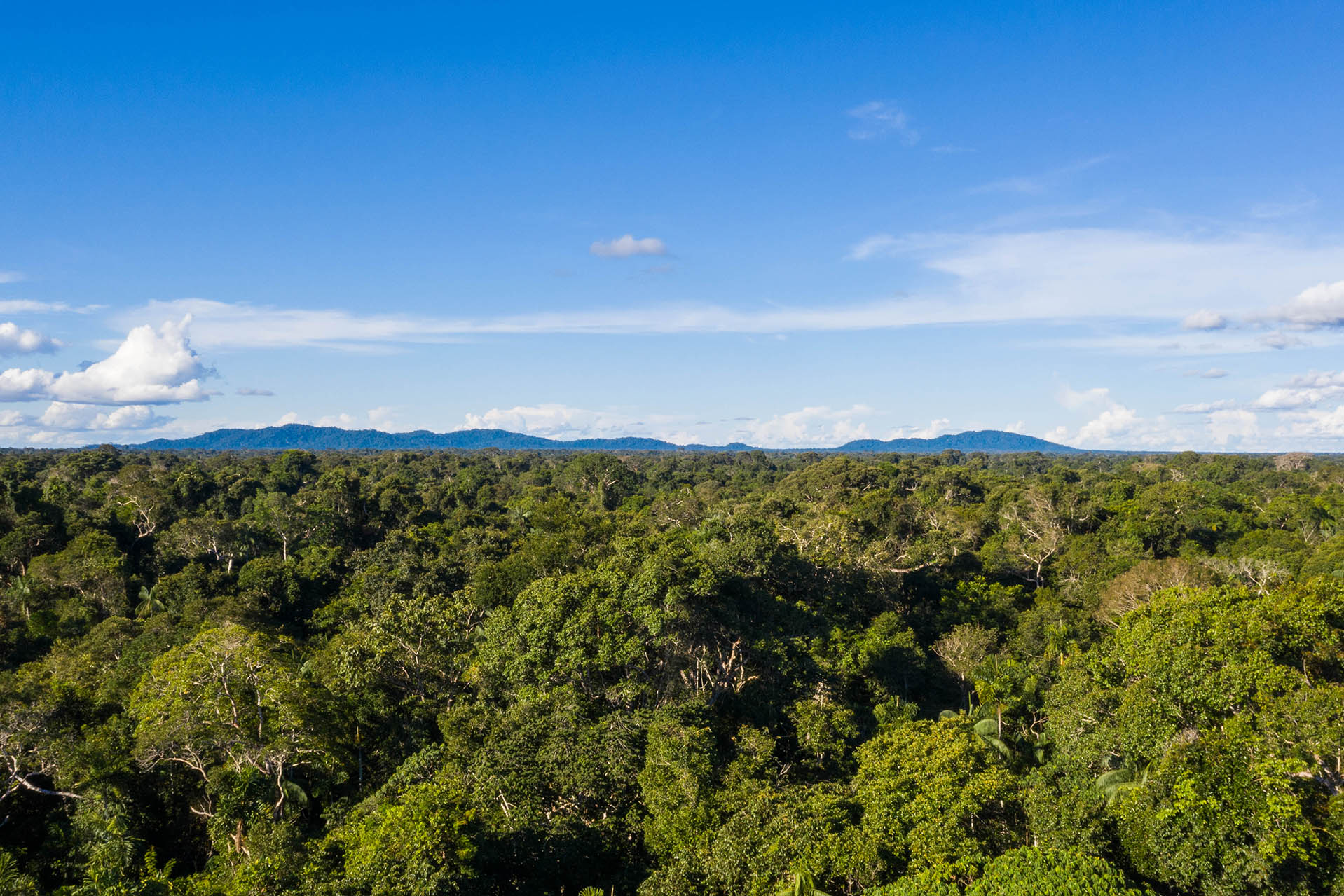 DJI_0330 copia