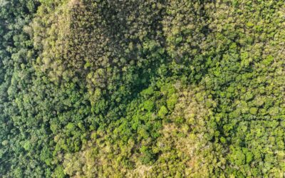 Hay que darle tiempo a la naturaleza