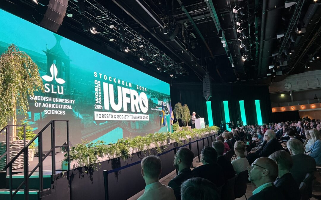 Investigaciones y contribuciones sobre el Bosque Chiquitano en IUFRO 2024