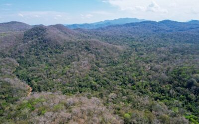 Proyecto Territorio y Restauración Ecológica y Económica Sostenible de los Bosques de la Chiquitania (TREES): Documentos Ambientales y Sociales