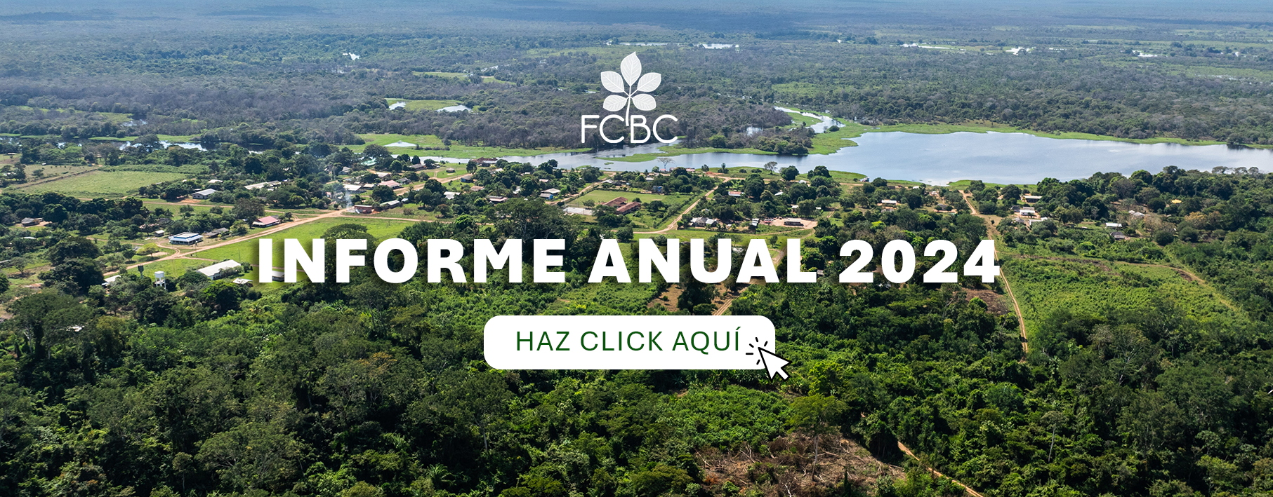 informe 2024 foto