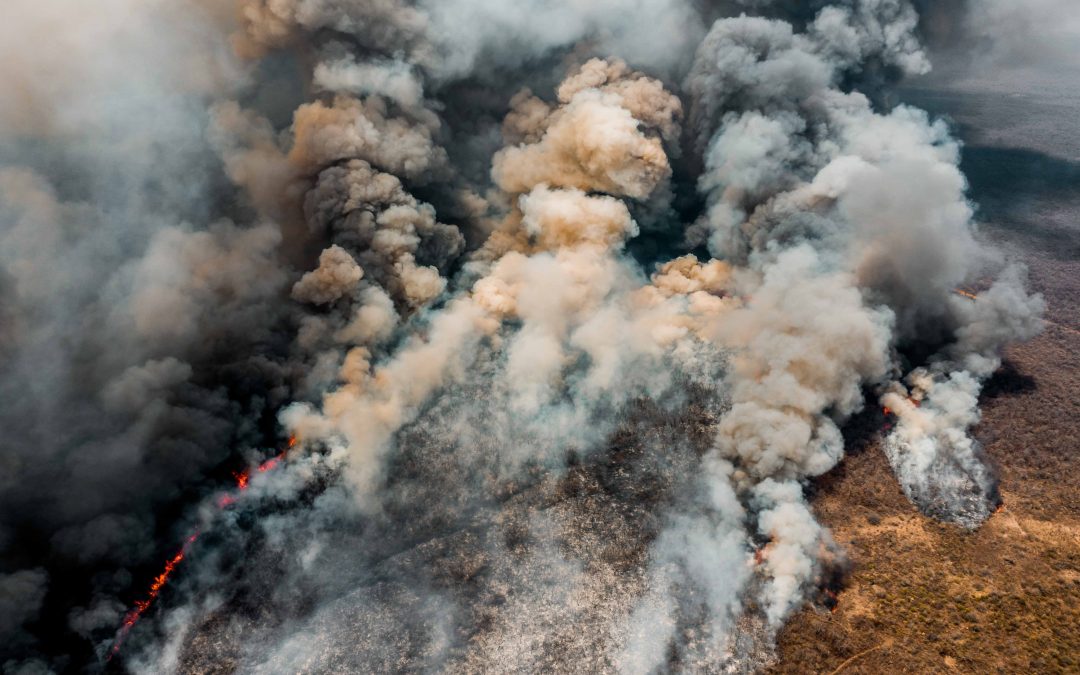 ¿Qué está impulsando los incendios en el Chaco sudamericano?