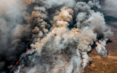 ¿Qué está impulsando los incendios en el Chaco sudamericano?