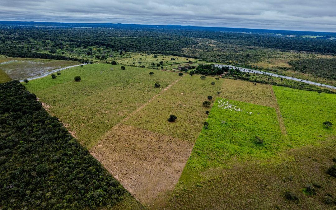 PPP Bolivia: el modelo que une producción y conservación en paisajes vivos